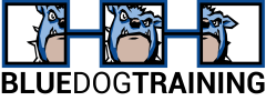 BDT Logo