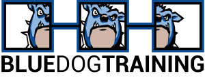 BDT Logo